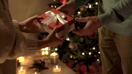 A man giving gift to a girl for the new year. Christmas atmosphere in the house, candles are burning, a tree in the background. - Powered by Adobe
