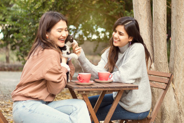 Two beautiful young women talking and enjoying on a sunny autumn day
