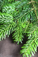 Tannenzweig auf braunem Hintergrund