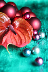 Weihnachtliche Komposition mit Anthurium Blume und Christbaumkugeln