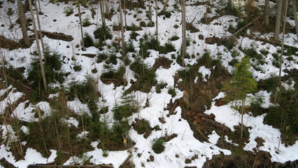 wonderful snowy mountain landscape in early spring