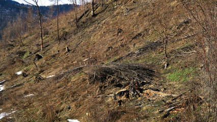 wonderful snowy mountain landscape in early spring