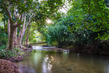 Small stream from mountain in the tropical forest