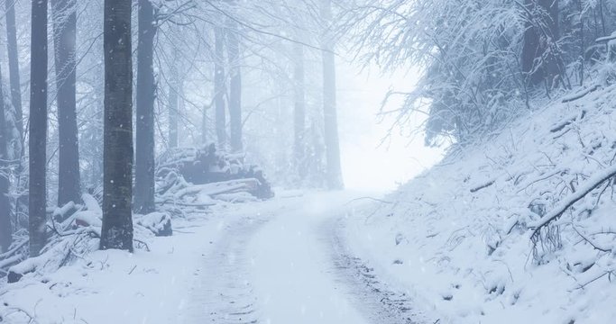 Snow falling in beautiful winter forest landscape with a road.