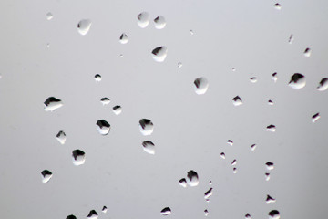 Window glas with rain drops; water drops and window wire mesh viewed from house interior