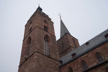 Blick auf die Türme der Stiftskirche von Neustadt an der Weinstraße