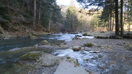 stormy river in the autumn landscape