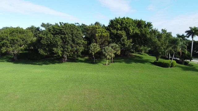 a video from a drone accending above a hill with trees on a nice day