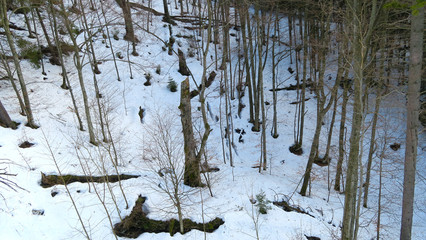 wonderful snowy mountain landscape in early spring