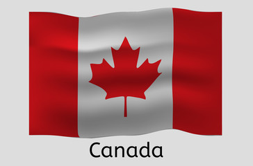 Fototapeta na wymiar Canadian flag icon, Canada country flag vector illustration