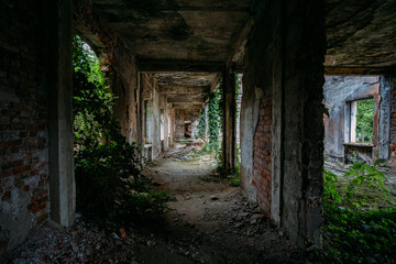 Ruined mansion corridor interior overgrown by plants. Nature and abandoned architecture, green post-apocalyptic concept