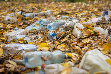 Plastic bottles and garbage left in autumn forest after picnics. Pollution of nature. Ecological problems concept. 