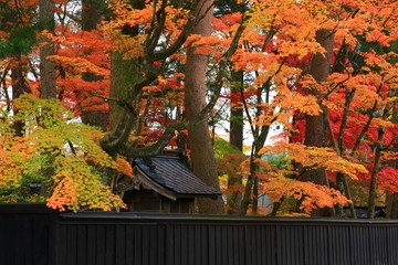 紅葉の角館