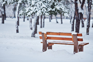 bench in the park in the snow