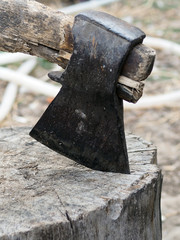 old axe in log, lumberjack tool, logging