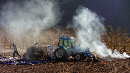 Fototapeta premium 바다