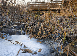 A stream covered with ice and snow flows from under a wooden bridge among the fallen leaves.