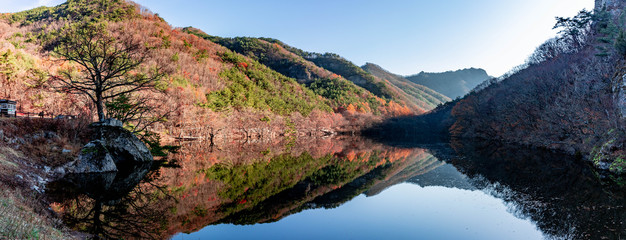 겨울