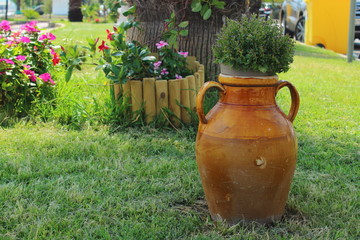 Clay pot placed in a flowerbed of the city