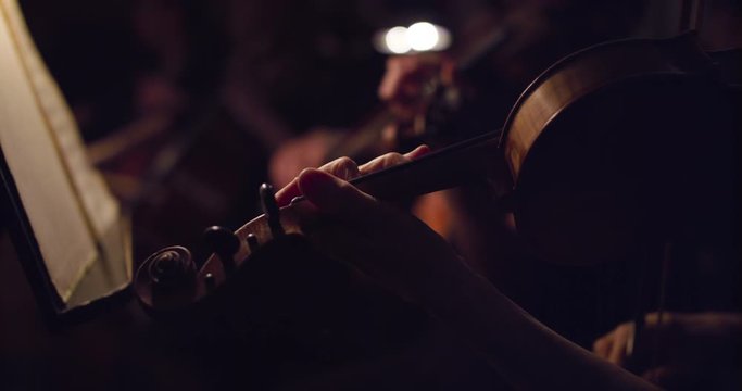 musician playing the violin