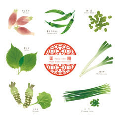 薬膳 漢方 食材イラスト Wall Mural Wallpaper Murals Kowappa D
