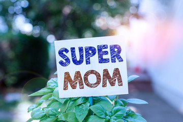 Word writing text Super Mom. Business photo showcasing a mother who can combine childcare and fulltime employment Plain empty paper attached to a stick and placed in the green leafy plants