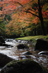 紅葉の渓流