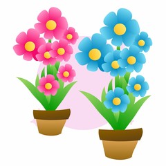 Illustration of Beautiful Pink and Blue Flower, Flat Design