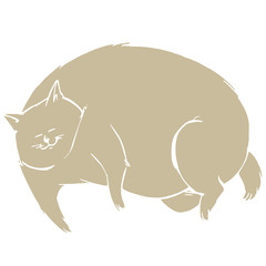 横たわっている大きな猫	