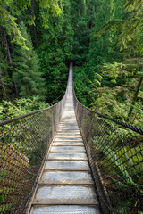 Plakat Bridge in Forest