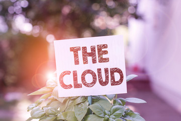 Word writing text The Cloud. Business photo showcasing Programs used in Storing Accessing data over the internet Plain empty paper attached to a stick and placed in the green leafy plants
