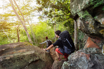 group of hikers climbing down in forest
