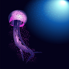 Pink and purple jellyfish in deep blue ocean