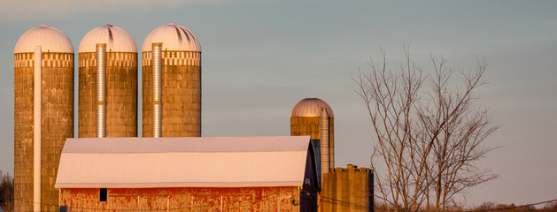 Three large and one small silo next to a barn © mtatman