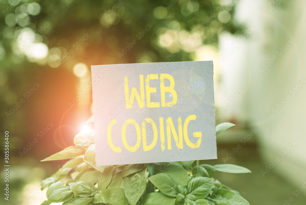 Poster handwriting text web coding. conceptual photo work involved in developing a web site for the interne