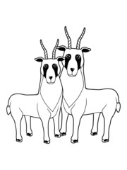 pärchen 2 Letschwe design liebe nett kind