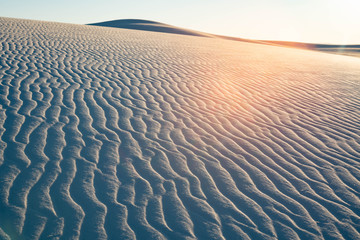 砂漠 Desert White Sands New Mexico