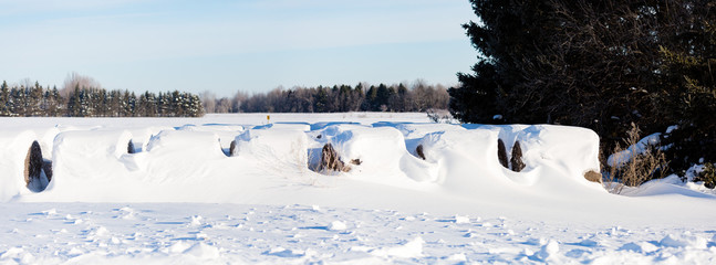 Snow covering round hay bales in a Wisconsin field