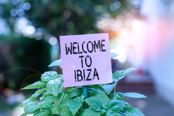 Text sign showing Welcome To Ibiza. Business photo showcasing Warm greetings from one of Balearic Islands of Spain Plain empty paper attached to a stick and placed in the green leafy plants