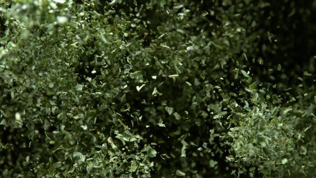 Super Slow Motion Shot of Green Dried and Chopped Seasoning Explosion on Black Background at 1000fps. Filmed on High Speed Cinema Camera in 4K Resolution.