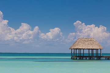 Caribbean palm thatch and pier on the beach