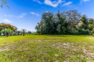 Large field surrounded by tall trees