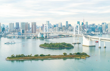 Tokyo skyline with Tokyo tower and rainbow bridge.