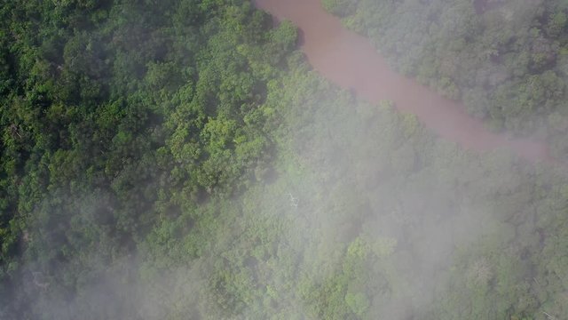 Aerial view on a meandering jungle river in the Congo rainforest