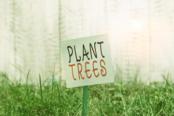 Text sign showing Plant Trees. Business photo showcasing process of planting a tree for land cultivation and forestry Plain empty paper attached to a stick and placed in the green grassy land