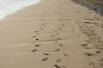 footprints