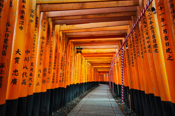 Thousands of Torii Gates Tunnel with Donator Name Carved on Torii Gate at Fushimi Inari Taisha...