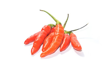 Closeup fresh red orange chili pepper on white background. Close-up red orange pepper with clipping path isolated on a white background