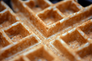 Whole wheat waffle closeup macro