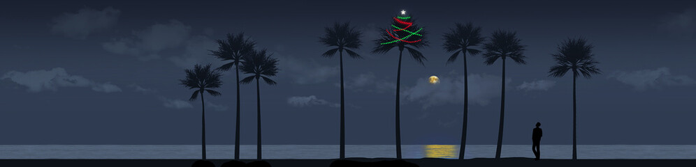 A palm tree is decorated for Christmas on a beach in a tropical climate. Strings of lights glow in the night.